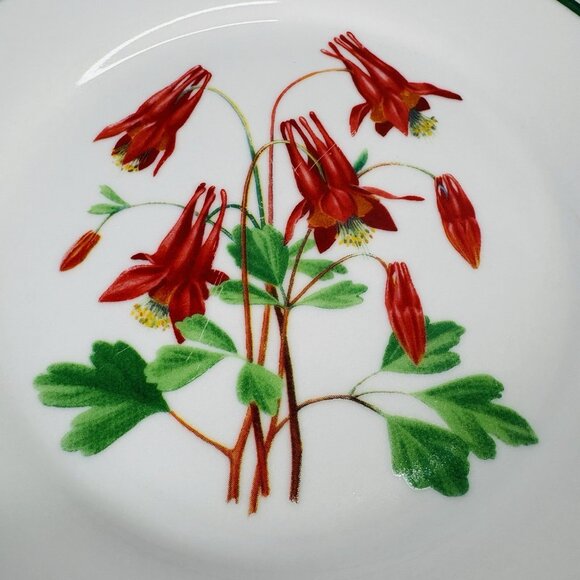 National Wildlife Federation AMERICAN WILDFLOWERS Flower Salad Plates Set of 2 - Picture 8 of 13